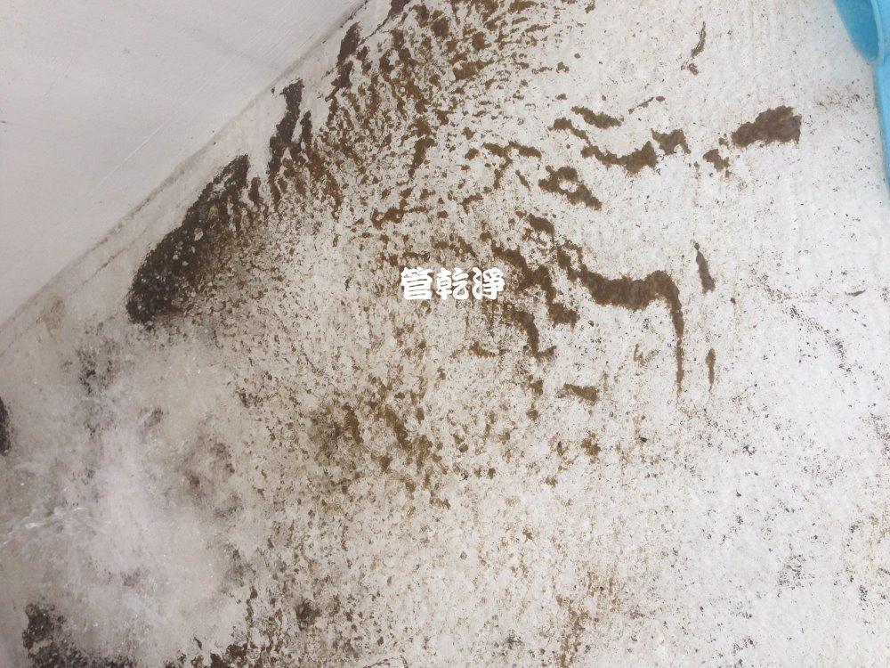 熱水忽冷忽熱,清洗水管,水管清洗,洗水管,水管清潔